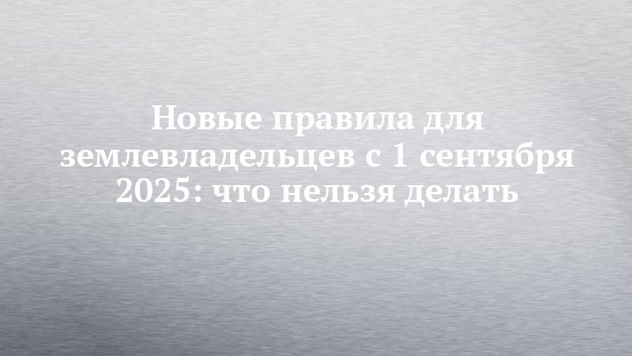           2025 
