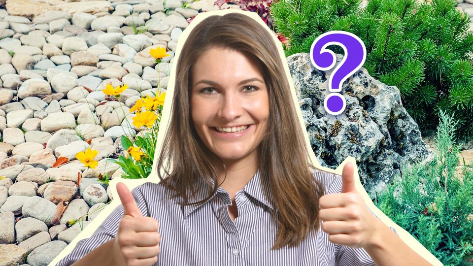 Этот цветок был создан для альпийских горок: ухаживать за ним почти не нужно