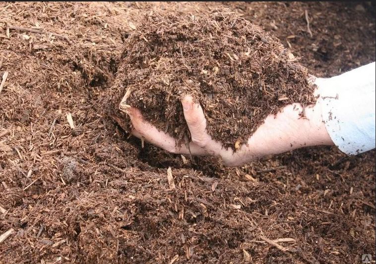 Как перегной может оказаться вредным для вашего сада