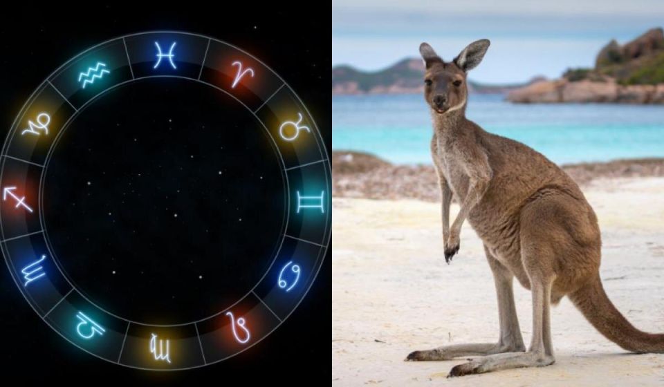 Какое дикое животное соответствует вашему знаку зодиака?