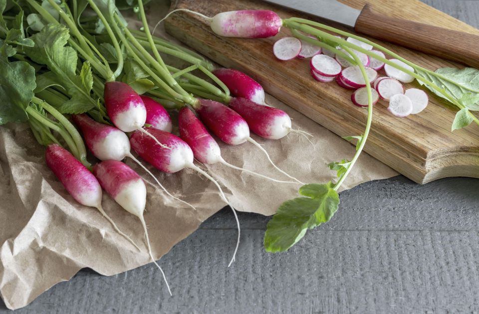 В конце апреля будет на столе: как вырастить ранний урожай редиса