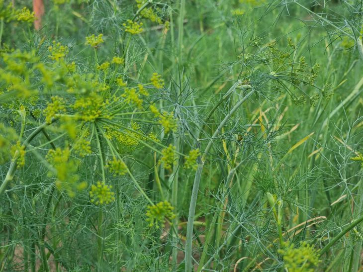 ������ ������� ������� ������� �� ����������� �� ������� ������: ��� ��� �� ����� ���������