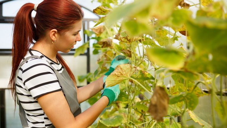 ��� ���� �� �������� ��� ���� ���� ������: ����� ��������� � ����������