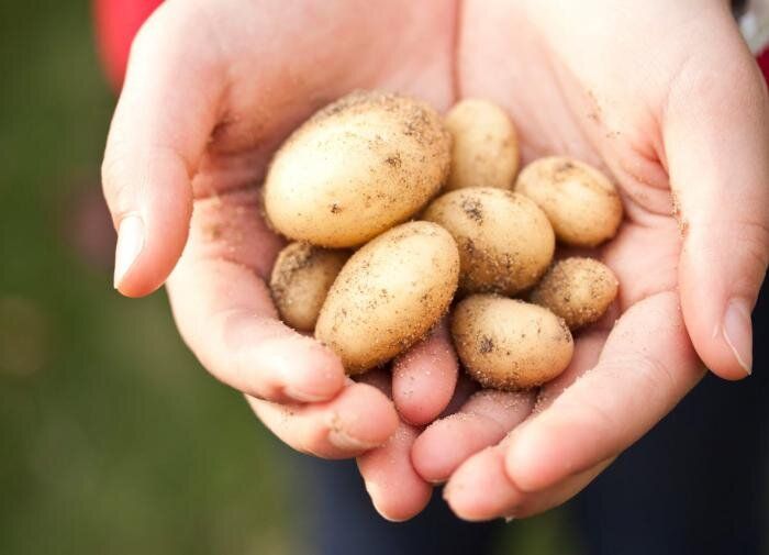 ��������� �����: ��� ��� ��������� �������� �������� ����� ��������