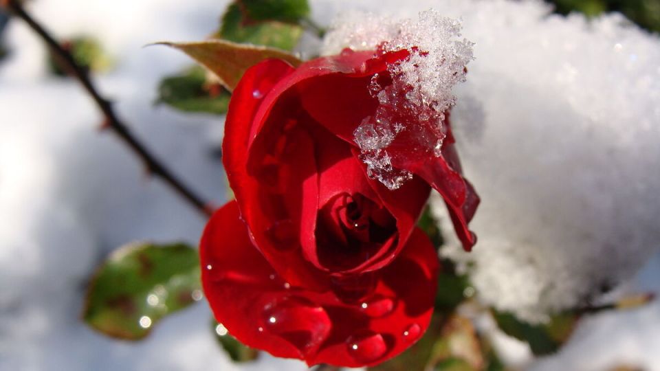 ��� �������� �������� ��������� ����: ����������� ����� ��� ������ ����