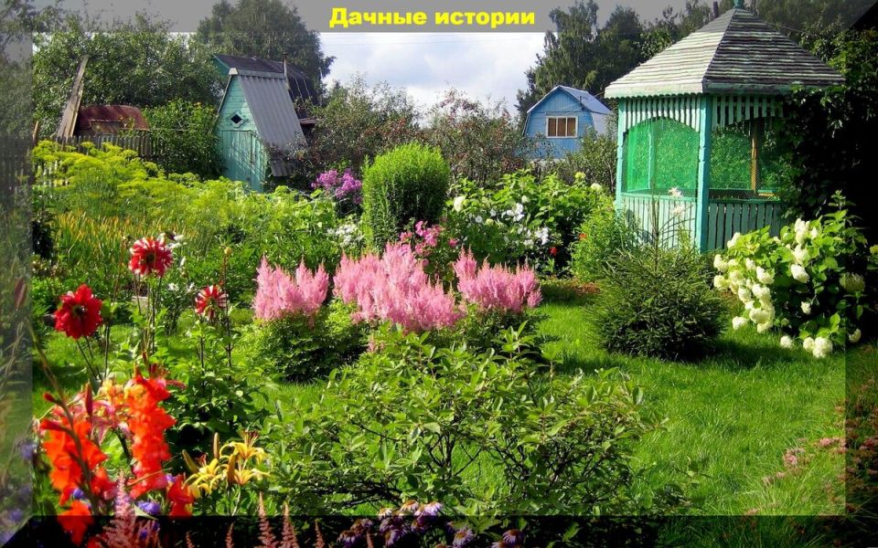 ����������� ��������� ������ � ����������� �� ����: ��������� ������ � ����