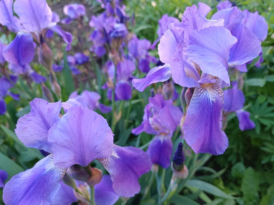 ������ � ����� ����������: ��� ��������� ������������ ����������� �����