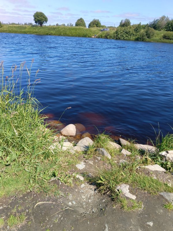 ��� ���� � 90-� ��������� �������� �������: ������ �� �������� � ���������