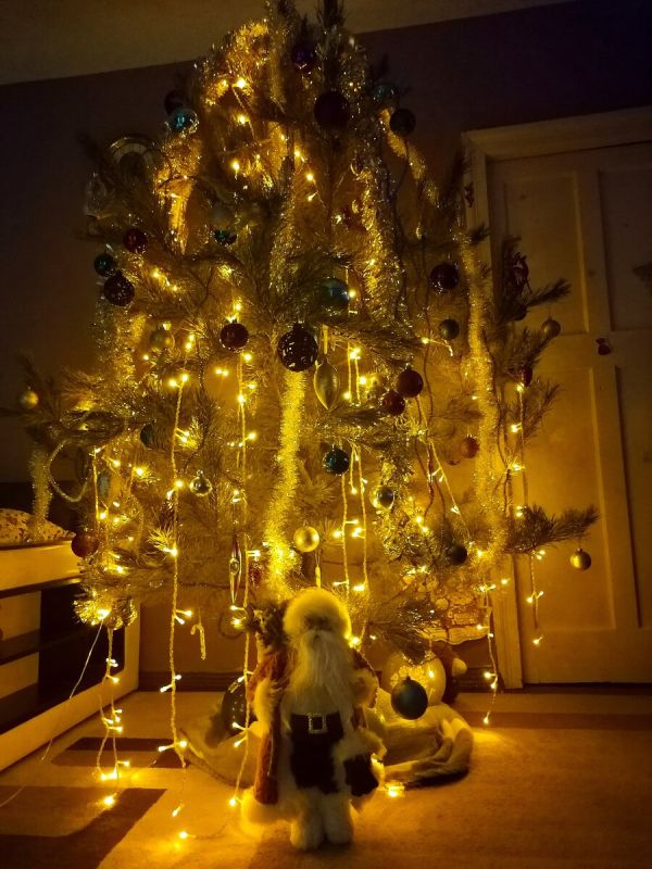 Как новогодняя елка чуть не обернулась паникующей ночью