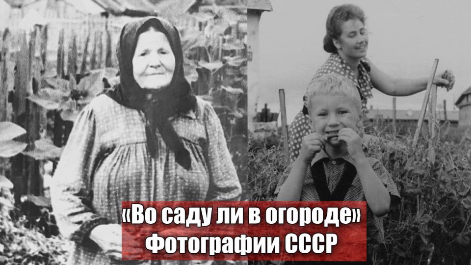 ���������� �� ��������� ��������: ��� �� ��������� ������ ��� �� ����