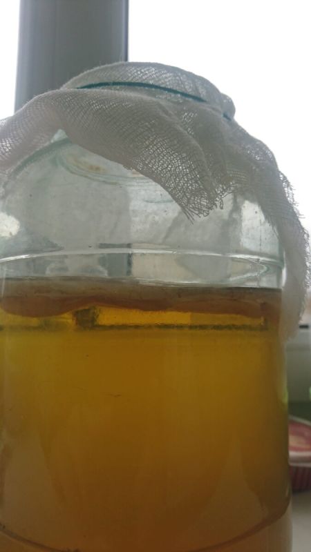 ��� ������� ��������� ������ ����: ������� � ����������� �������