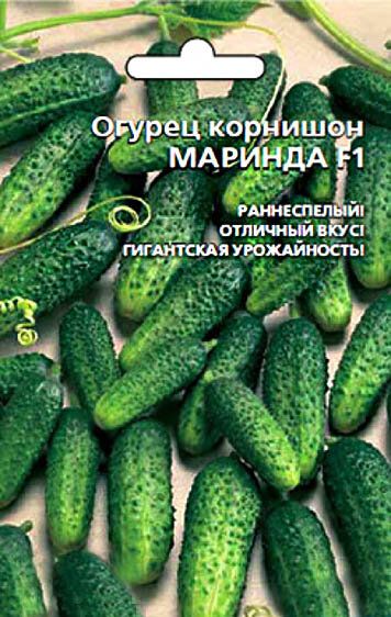 ���-3 ������ ��� ���������� �����������