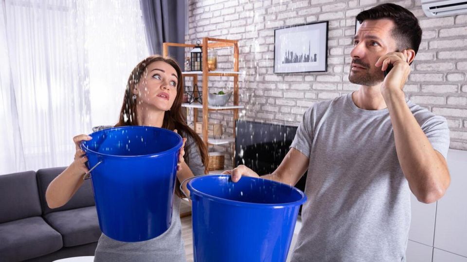 ��� �����������, ���� ���� ������ ������ �������� ���� ��������: ��������� ����������