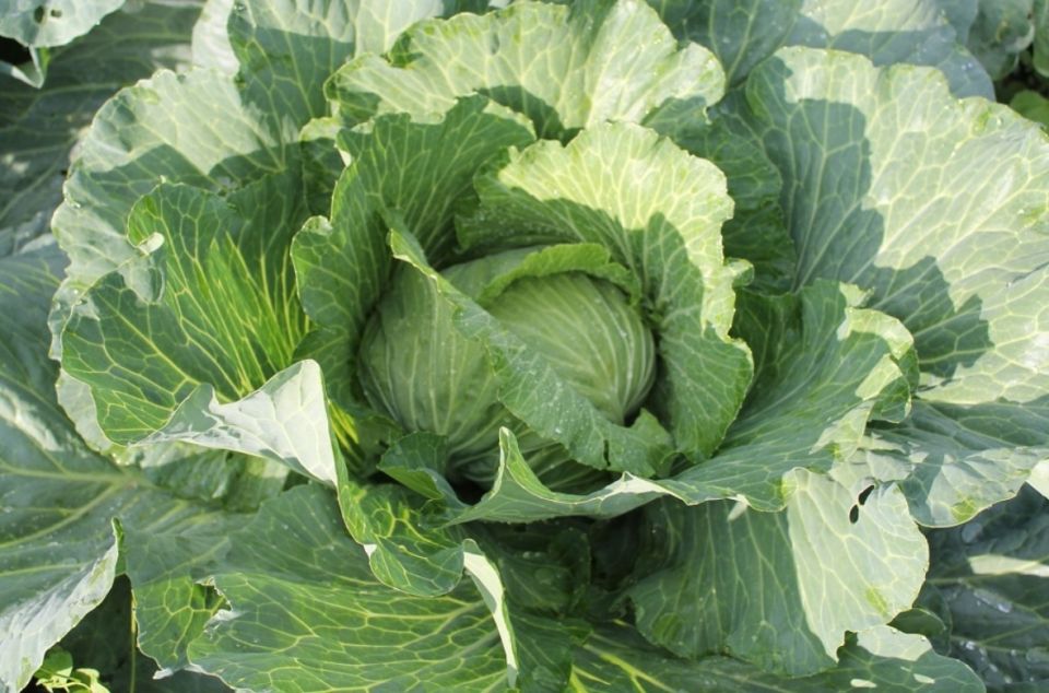 ��� ��� ������� ��������� � ������� ����������� ������� ������ �������?