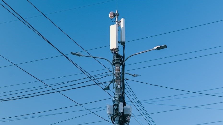 ����� ������� ���������� ���������� ���������: ��� ��� ������� ���� �����