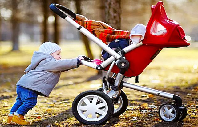 ����� ����������� ��� �����: ������� �� ����� �� ������ � 2026 ����