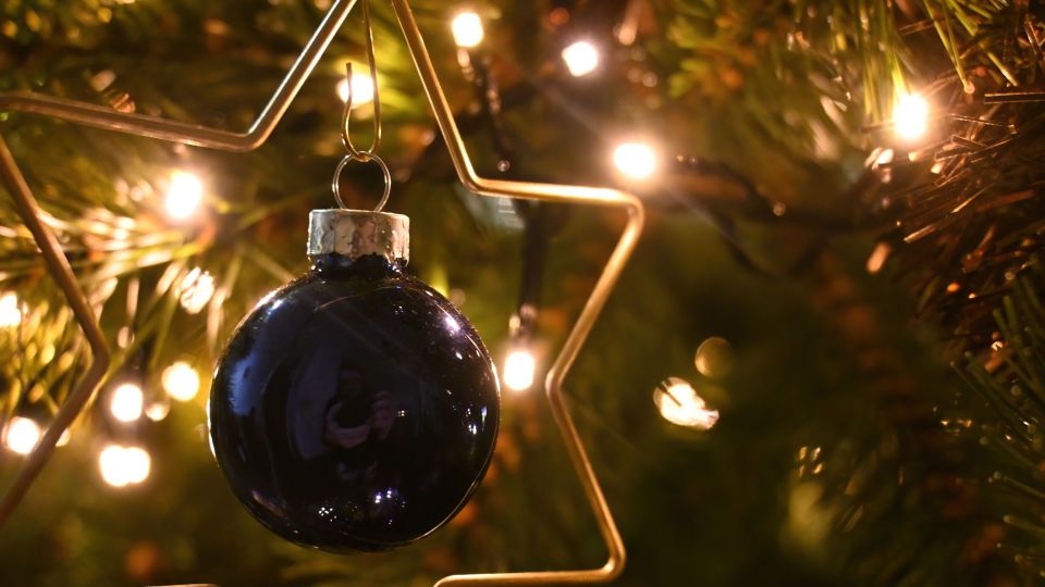 ��� ������ ����� �������� �� �������� �� �����: � ��� ����� ������ ��������