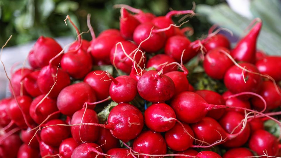 ������� ������ �� ��������: ��� ��� ��������� ��������� ������ ������ �� �����������