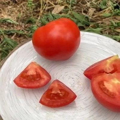 ����� ����� ����: ��������� ������� ��� ����������� � ��������