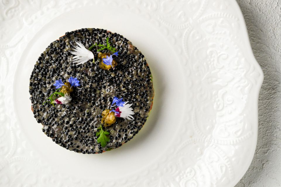 ����������� ����� � ����������� �����: ��� �� ����� ���� ������ �� ��� �����