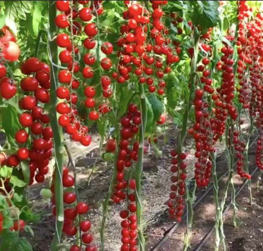 ��������� ������ �������: ���-10 ����� ������������ ������ ������� 2026 ����