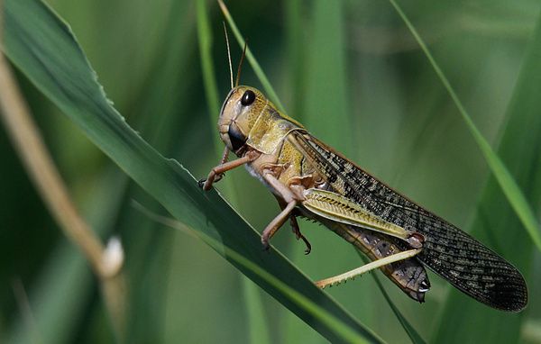 ��� ������� ��������� ����� ����� ��� ������ � ������ �� �������