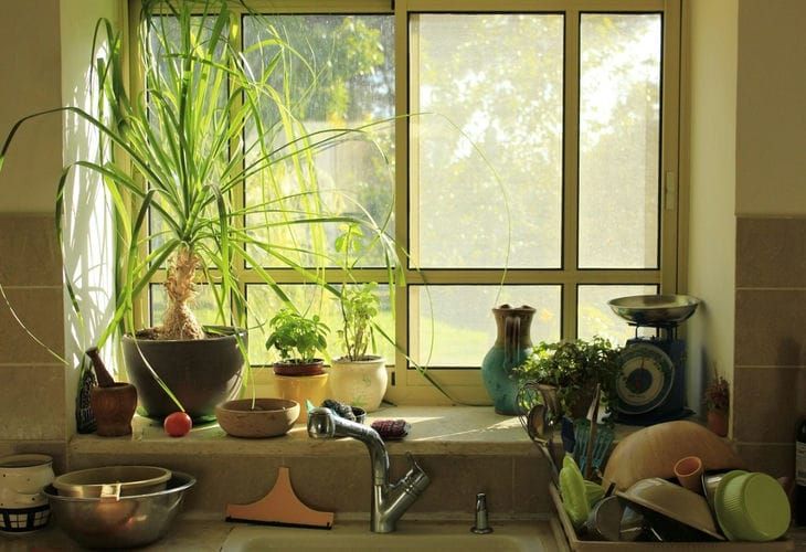 ��� ����� ���������� ���� �� 10 ������: �����, ������� �������� ���� � �����