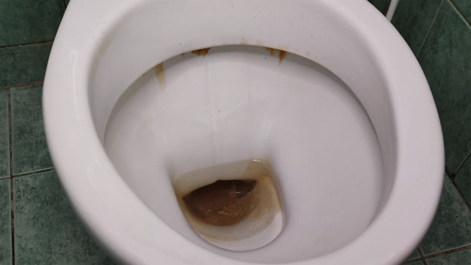 ������� �������: ������� ������ � ��������� � �������