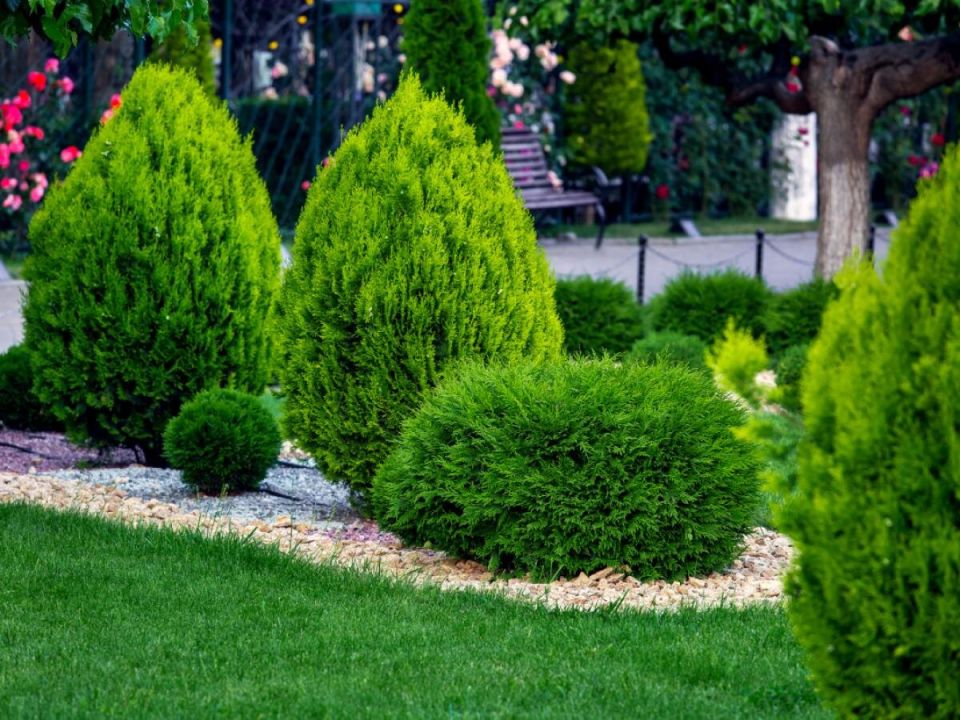 ��� ������� ��������� �������: ������� ��������� ������