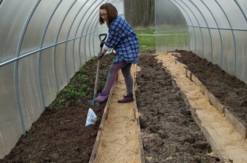 ������ �������� ���� � �������: ��� ����� ����� � �����