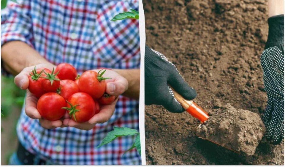 ������ ������ ���������: ��� �������� �������� ������ ������