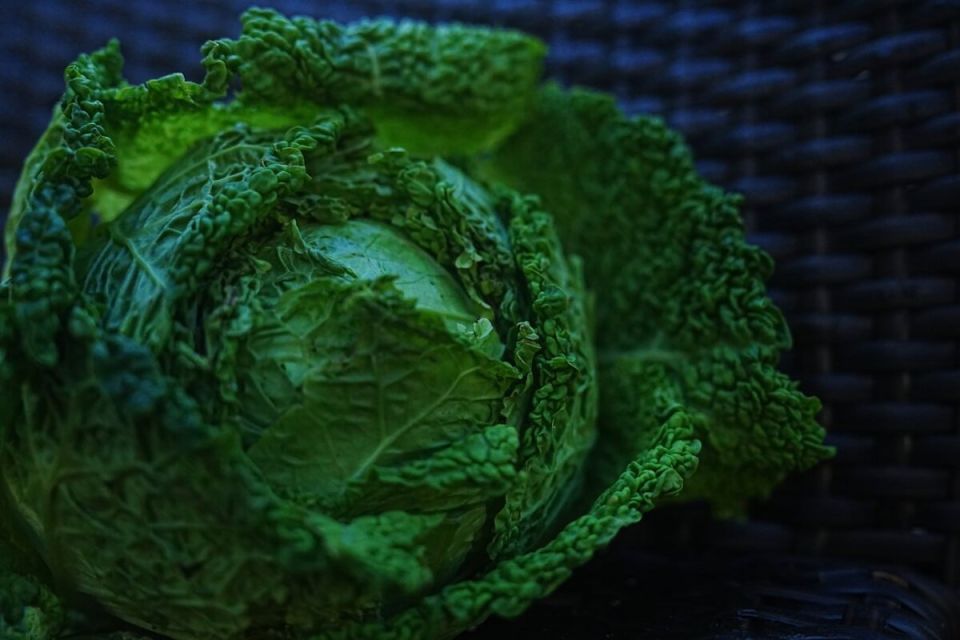 ����������� ������ �� ��������� ����������: ��� � ����� ������������ ���������