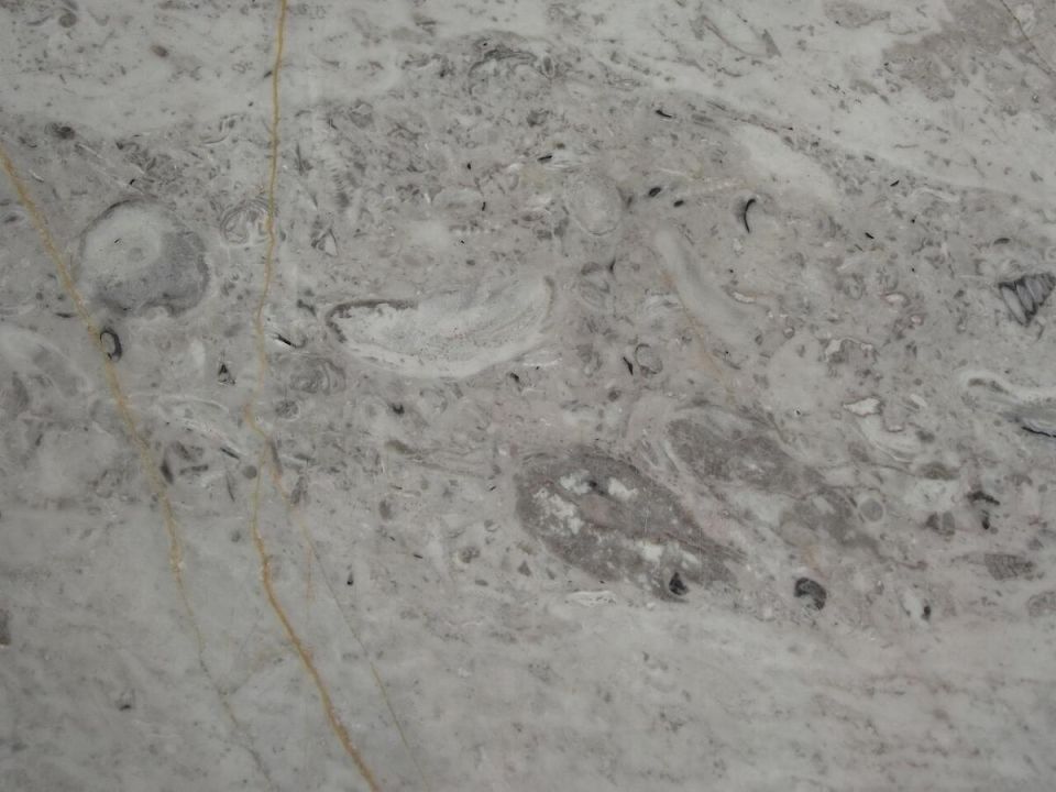 ��� ������� ����� ������ �������: ������� ����� ��� �����