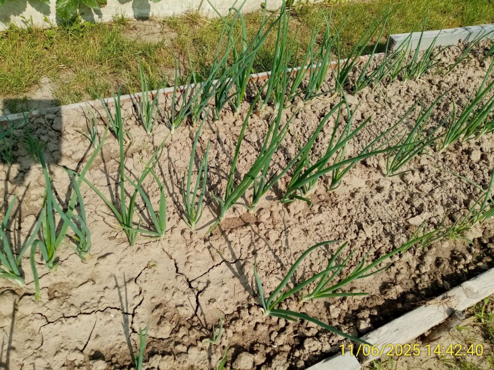 ���������� ��������� ���� � ������� � ���� ��� ��������� ������