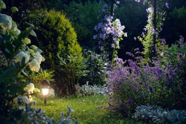 ������� ��������� ��� ��� ������� ���� � �� ������� �� ����������