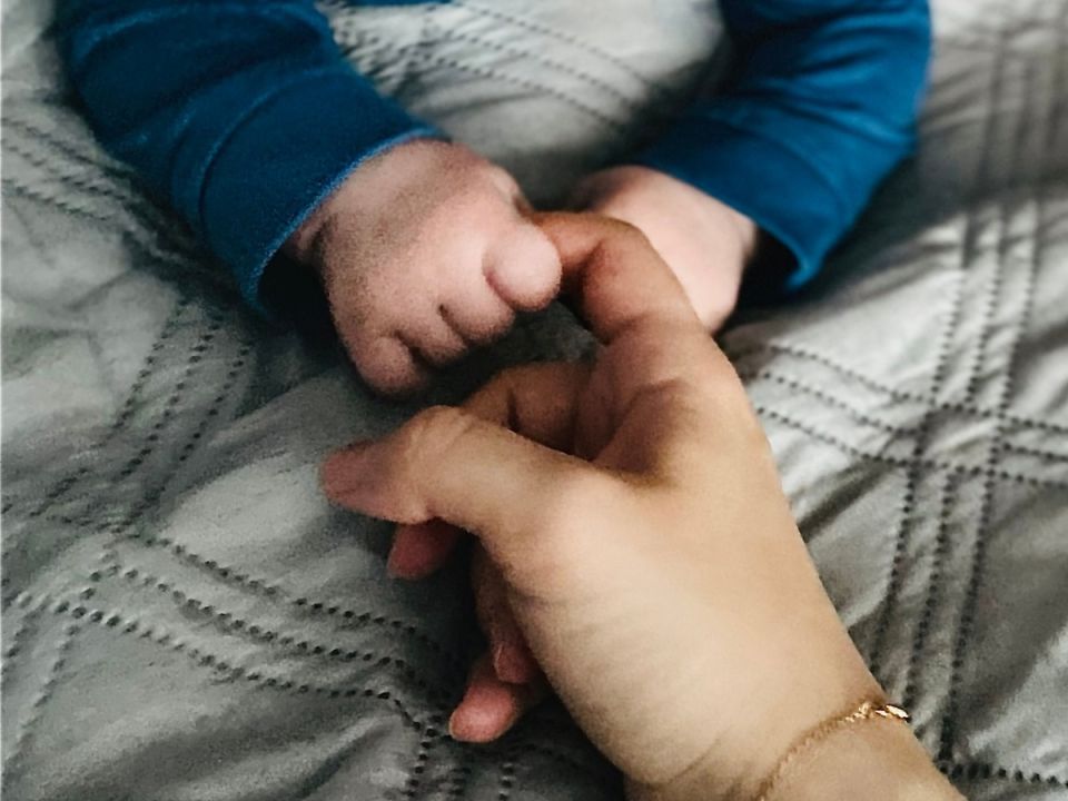 � ������ 2026 ���� ���������� ������� ����� ����� ��� ���������