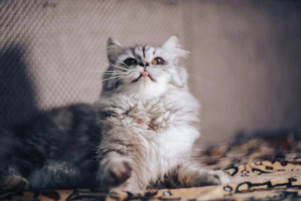 �����-������: ��������� ������� ��� ����� � ������