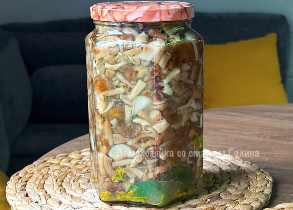 Засолка опят по семейному рецепту: секреты и шаги