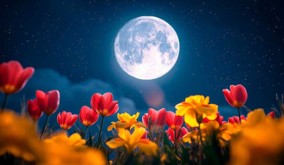 ���������� ��������� ����: ��� ������� ������� ������ �� ��� � �������