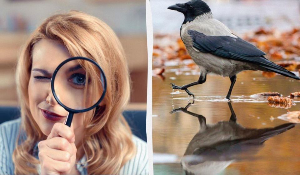 ��� ������� �� 12 ������: ��� ��������� ������ ����� ������� ���� � ��������