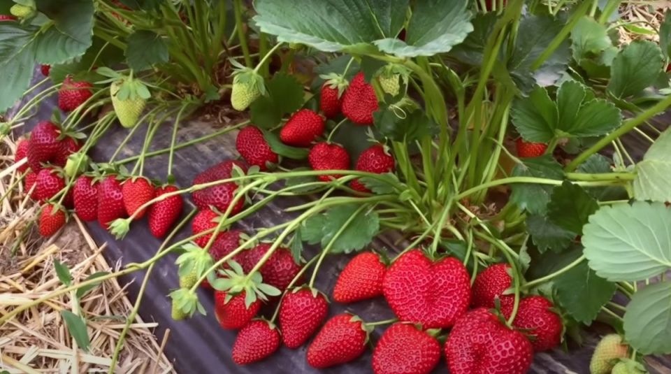 ��� ����� ������ ��� ������� ��������: �����, ����� � ����� ������������