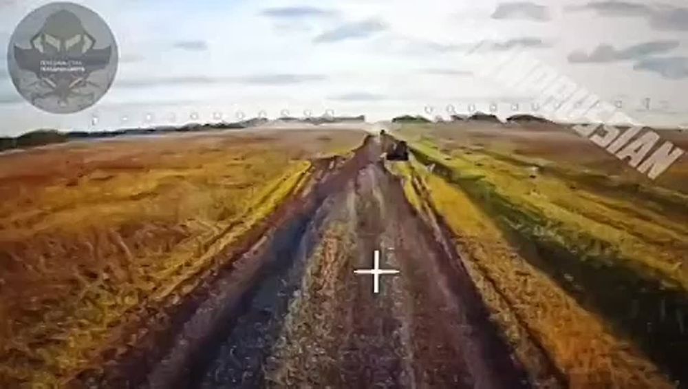  FPV-           