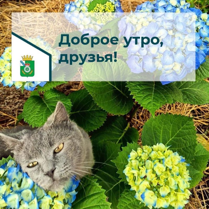 , 28  2025.,   ,   ,   