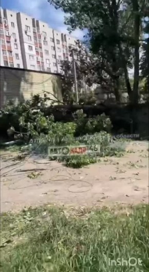           ,   