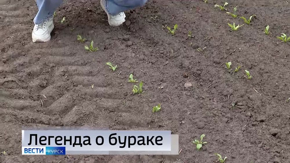 11111    &quot;-&quot;   21:10   :