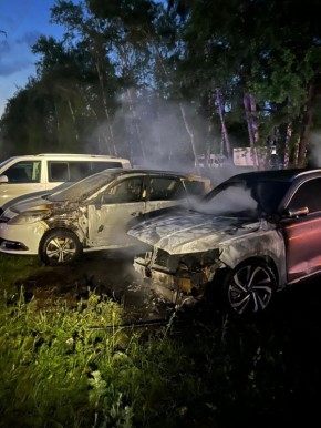   2      - Geely Monjaro  Renault Scenic