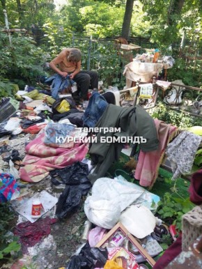 Волонтеры рассказали подробности о живущем на Никитском кладбище в Курске бездомном