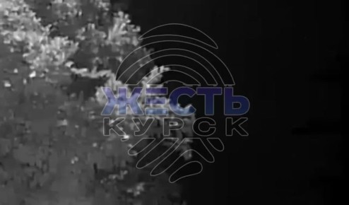 Сообщаете о работе ПВО над Курском