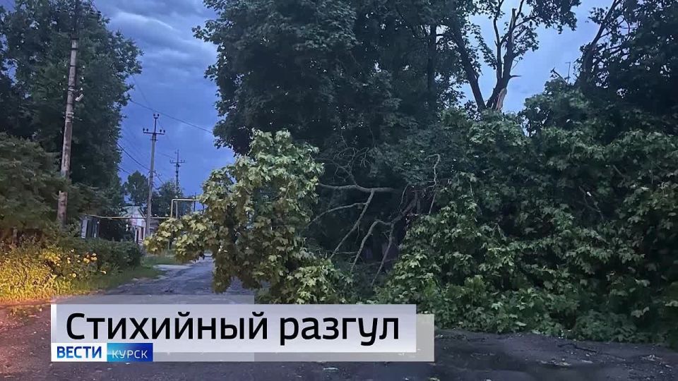 11111    &quot;-&quot;       :