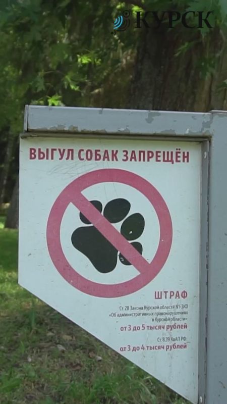 ,    ,     